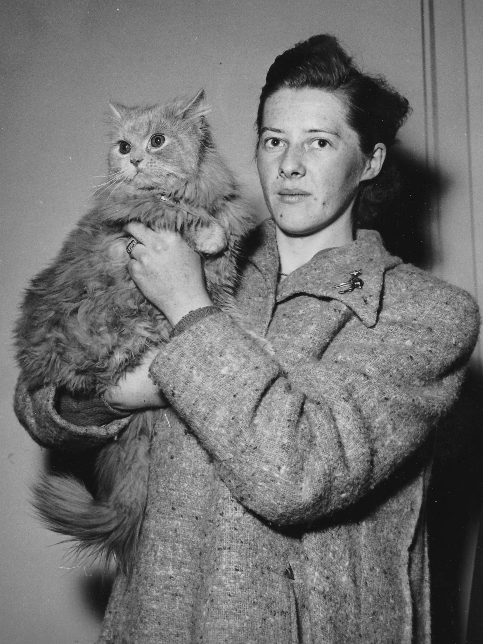 Historical Cats - 1950s Carol of Bellamont